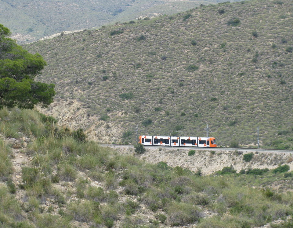 click to enlarge